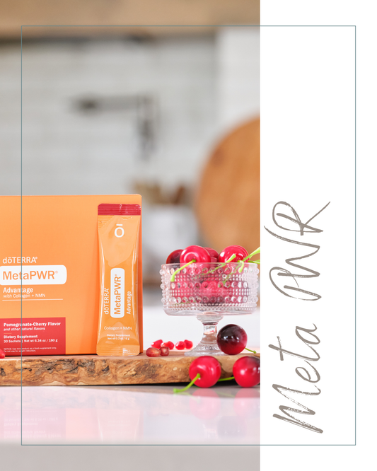 MetaPWR™ Starter – Geschmacksbox inkl. Öl